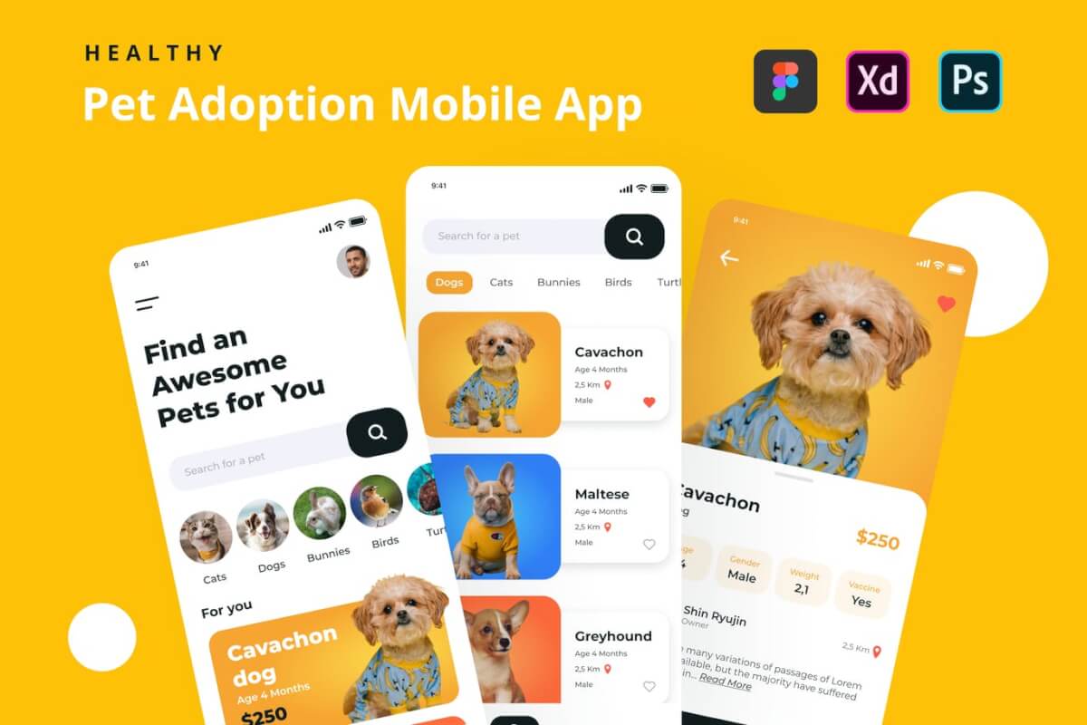 健康 - 宠物领养应用APP模板
