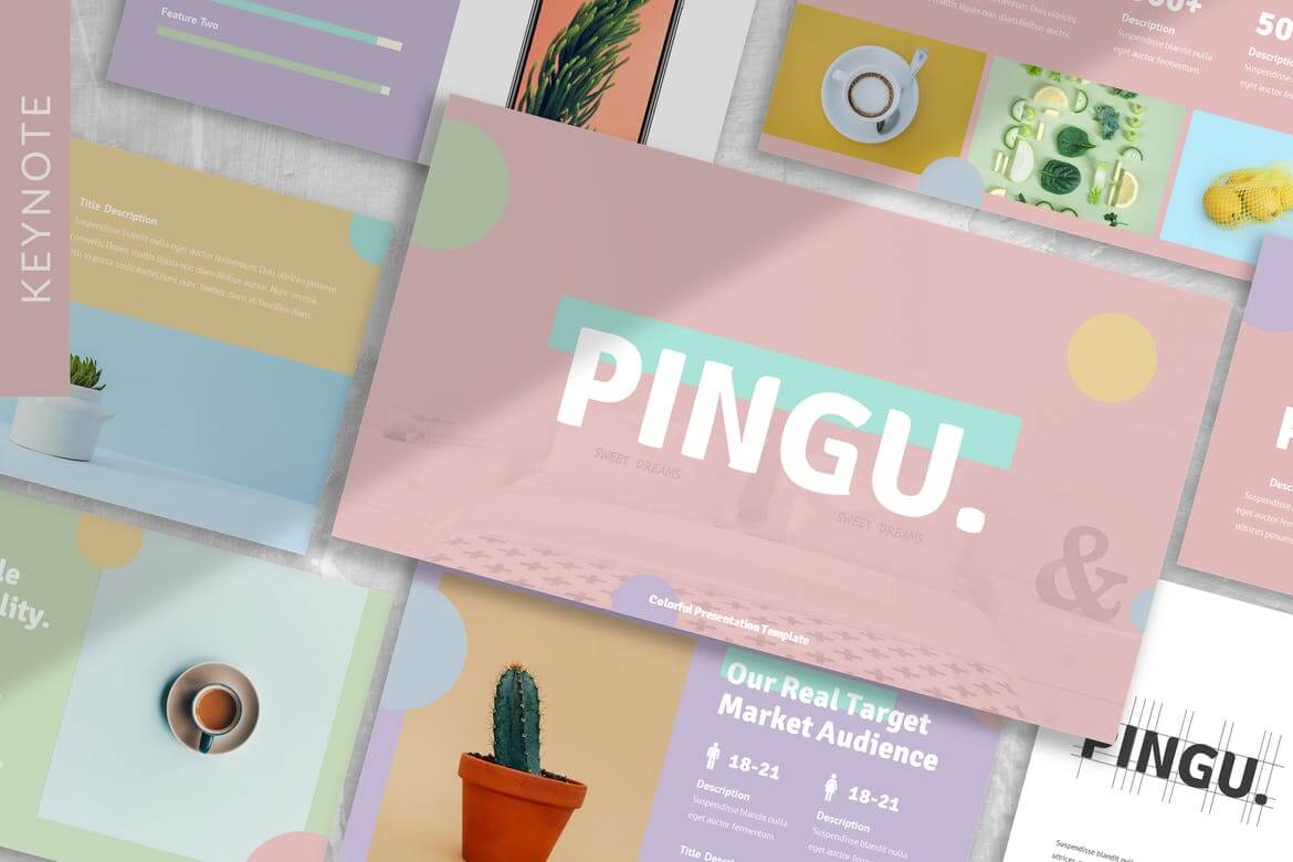 Pingu - Brandbook 主题演讲模板