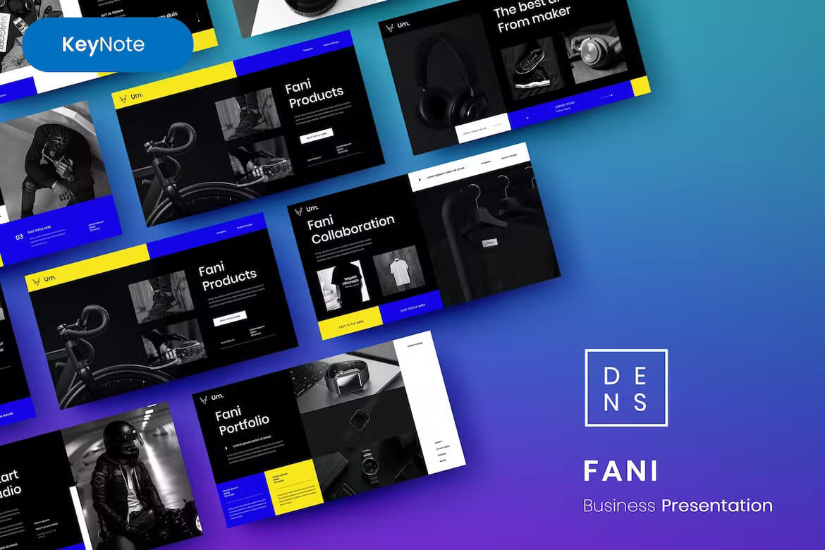 Fani – 商业主题演讲模板
