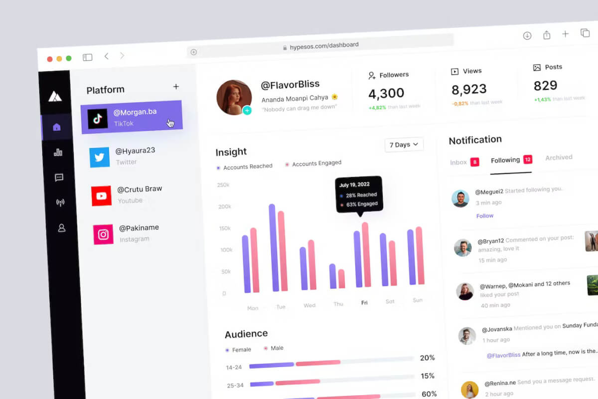 Hypesos - 社交媒体分析仪表板